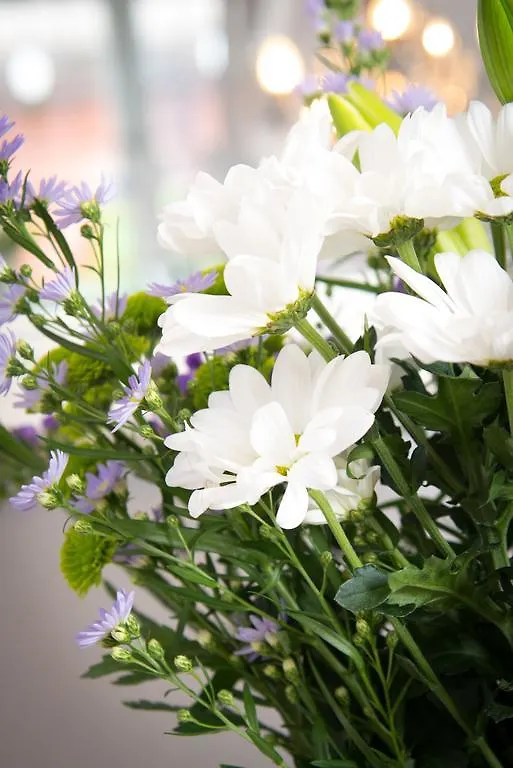Mory House Bed & Breakfast Bournemouth